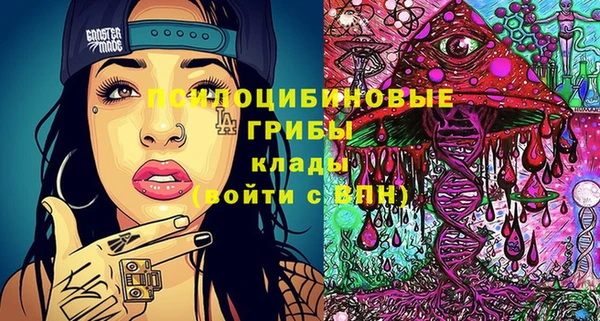 дживик Киренск