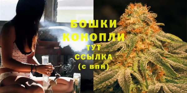 дживик Киренск