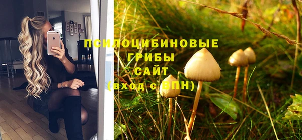 Альфа ПВП Кинешма