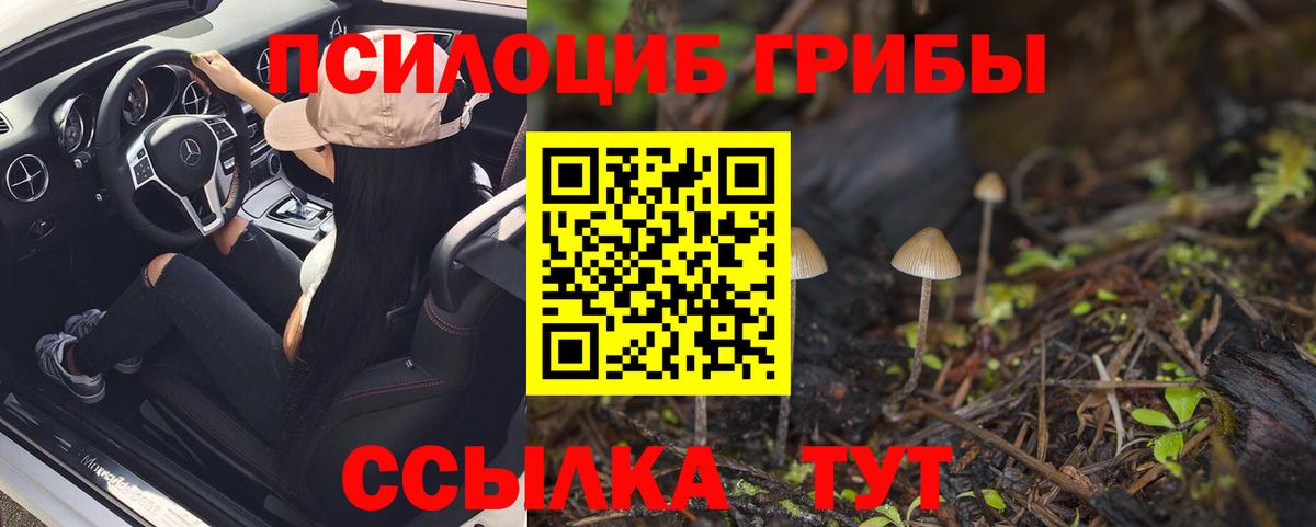 Псилоцибиновые грибы мухоморы  Кировск  Галлюциногенные грибы Cubensis 